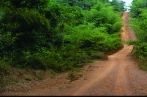 16 Km Road from Kinjor to Jenneh 