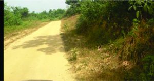 The Repaired Road to Jikandor